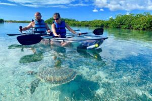 clear kayak turks and caicos