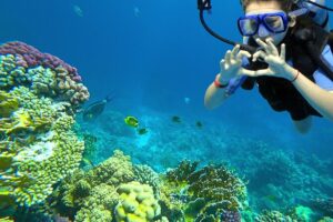 dive charters in Key Largo